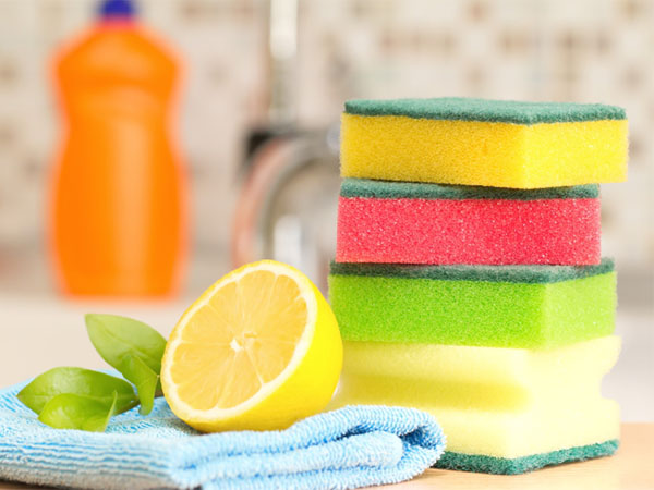 kitchen sponge bacteria