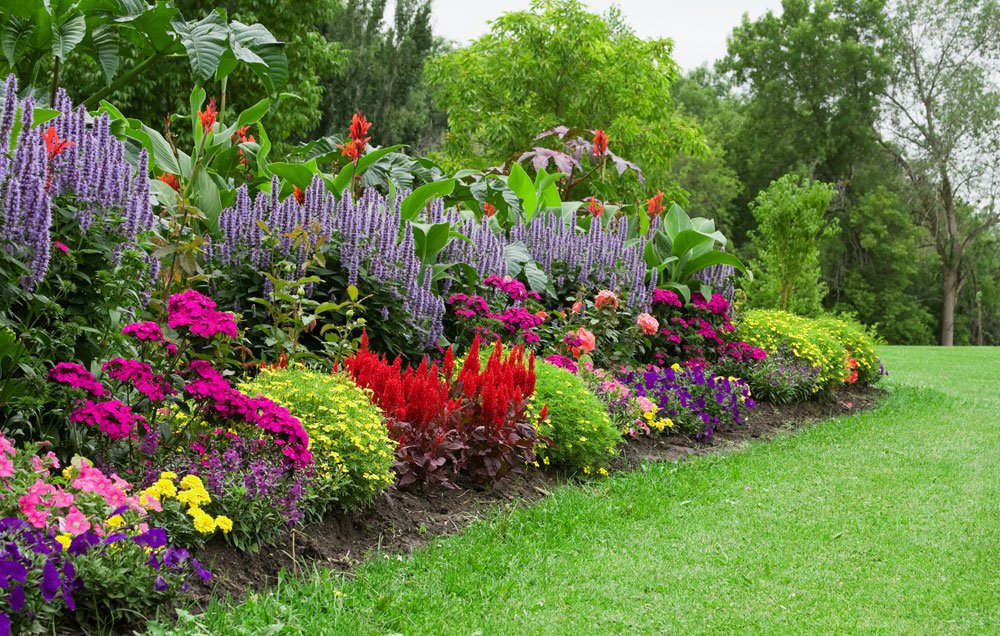Best Organic Ways To Get Rid Of Garden Weeds Blog By Rentmetoday